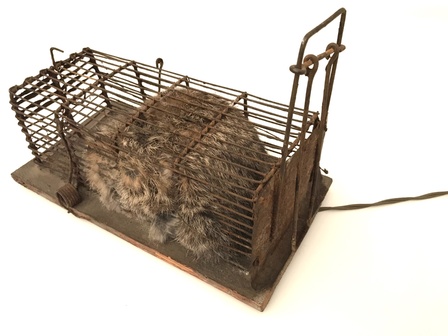 Günter Weseler K89/73