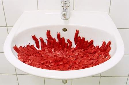 Susan Donath Arion Vulgaris