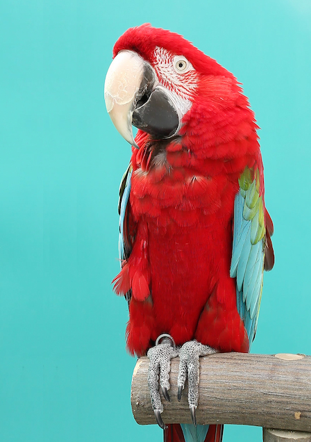 Julius Brauckmann Namedropping