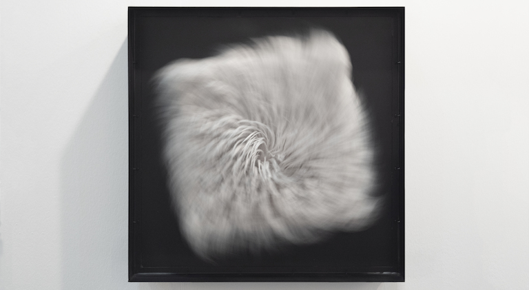 Good Vibrations, Pfeifer & Kreutzer, Jan Bernstein
