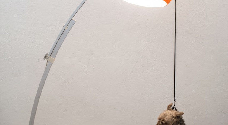 HASHTAG, Julius Brauckmann, Susan Donath, Tobias Wenzel, Via Lewandowsky, Bertrand Fournier