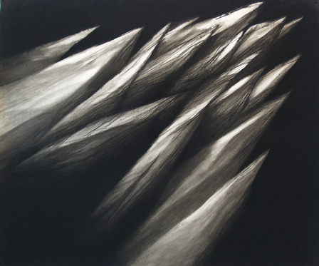 Nan Hoover Thrusting forms III