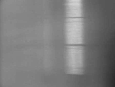 Nan Hoover Projections