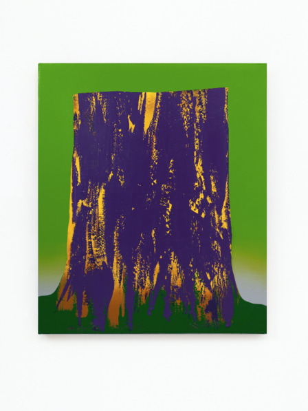 Peter Krauskopf T. B. (B270824)