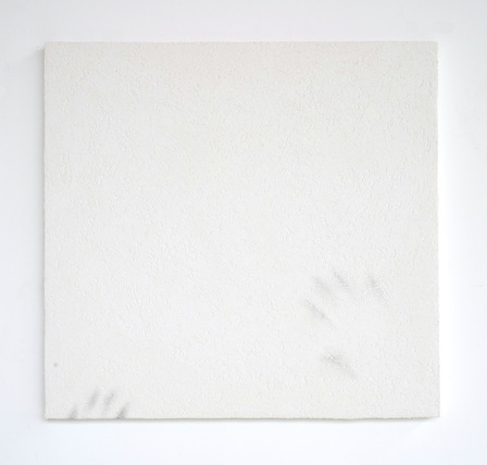 Robert Barta NEVERMIND I