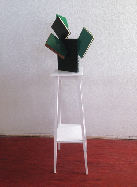 Peter Wüthrich Cactus succulentus literally