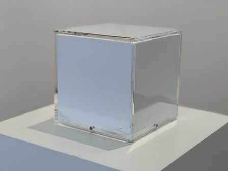 Nicolò Baraggioli P. M. S.