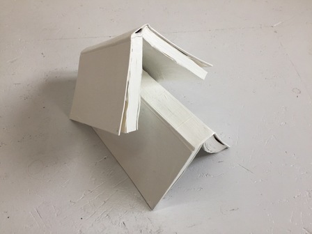 Peter Wüthrich Platonisches