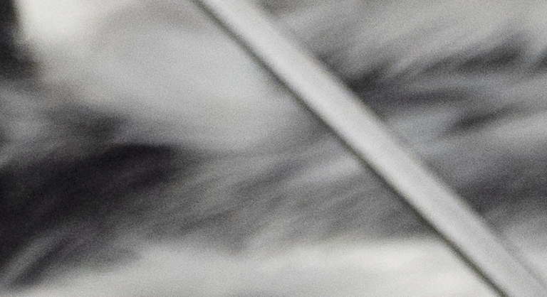 Pfeifer & Kreutzer + Baraggioli, Pfeifer & Kreutzer, Nicolò Baraggioli