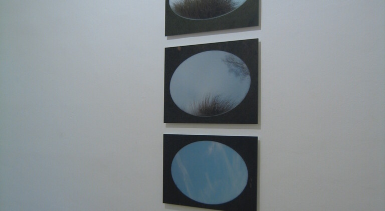 Susanna Niederer, Susanna Niederer