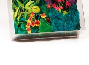 Eröffnungsausstellung, Agostino Bonalumi