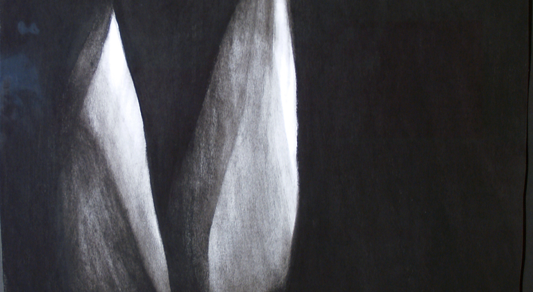 NAN HOOVER, Nan Hoover