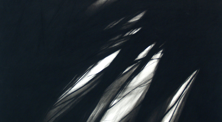 NAN HOOVER, Nan Hoover