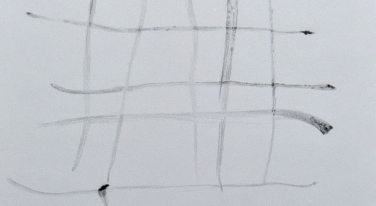 FOLLOW THE LINE, 