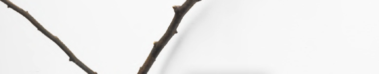 NATURE, Marc Angeli, Nicolò Baraggioli, Robert Barta, Jan Bernstein, Bertrand Fournier, Alfonso Fratteggiani Bianchi, Barbara Hindahl, Nan Hoover, Lev Khesin, Alicja Kwade, Tony Matelli, Dirk Rathke, Peter Rösel, Ken'ichiro Taniguchi, Peter Tollens, Jens Trimpin, Jan Maarten Voskuil