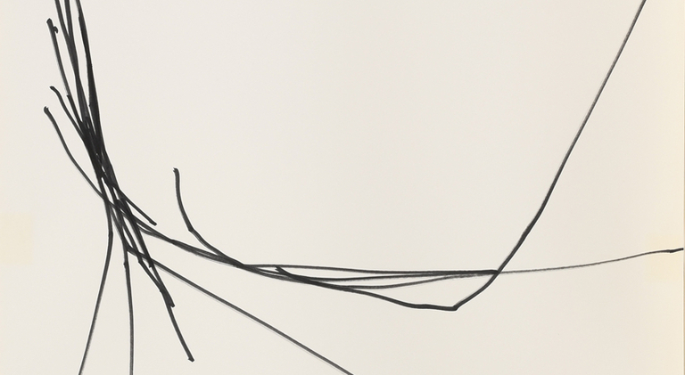 FOLLOW THE LINE, 