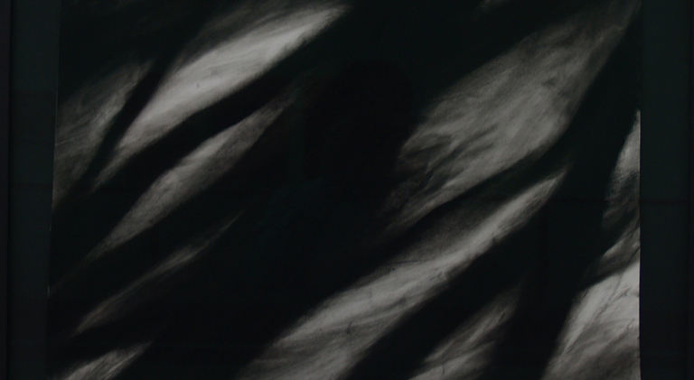 NAN HOOVER, Nan Hoover