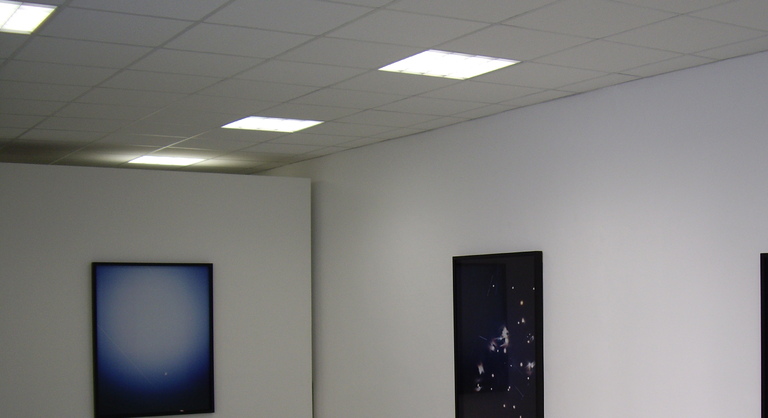 Sharon Harper, Sharon Harper