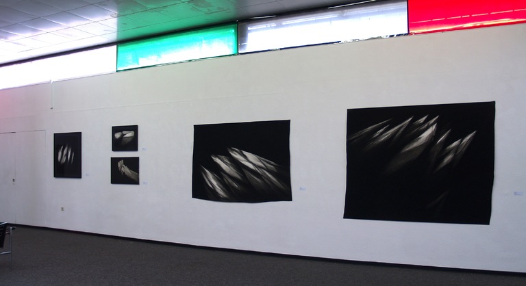 NAN HOOVER, Nan Hoover