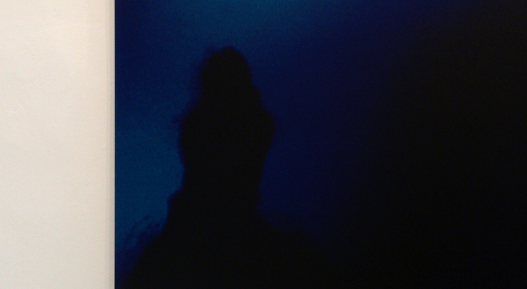 Nan Hoover, Nan Hoover