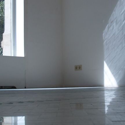 Jan Schmidt, Jan Schmidt