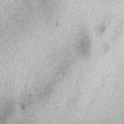 Jens Trimpin, Jens Trimpin