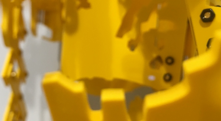 KEN'ICHIRO TANIGUCHI, Ken'ichiro Taniguchi