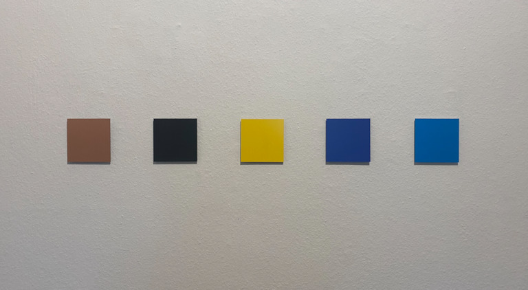 Nicolò Baraggioli, Nicolò Baraggioli