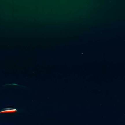 LEV KHESIN, Lev Khesin