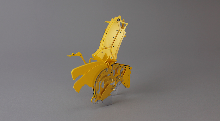 KEN'ICHIRO TANIGUCHI, Ken'ichiro Taniguchi